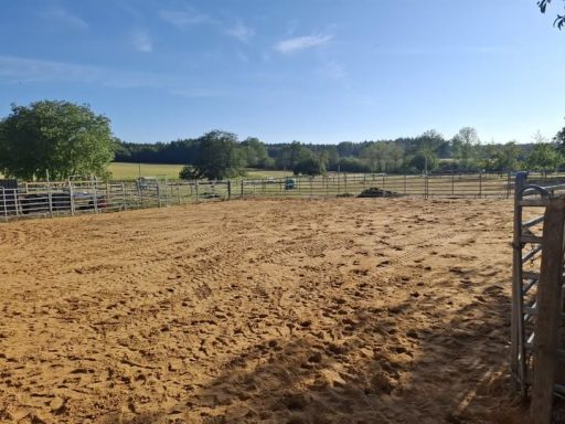 Winterpaddock
